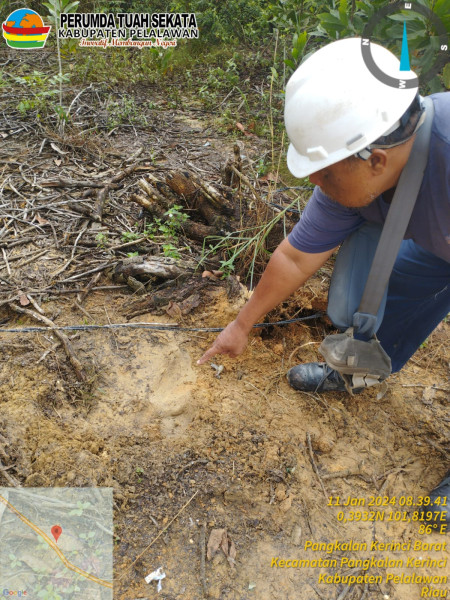 BUMD Respon Cepat Pelayanan Perbaikan Kabel Listrik Dirusak Gajah Liar