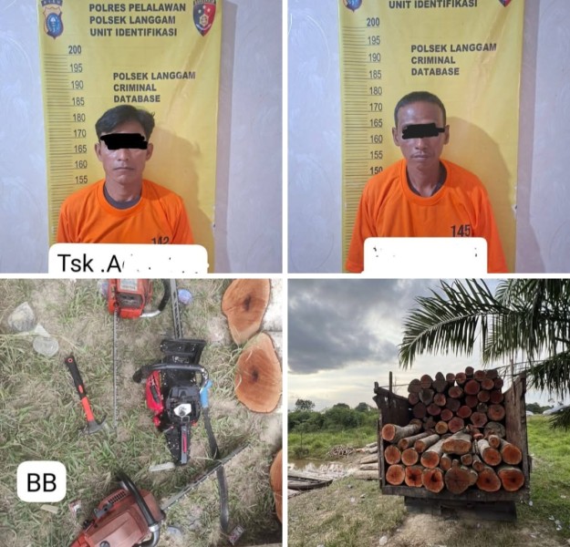 Tim Unit Reskrim Polsek Langgam berhasil mengungkap kasus dugaan tindak pidana ilegal logging