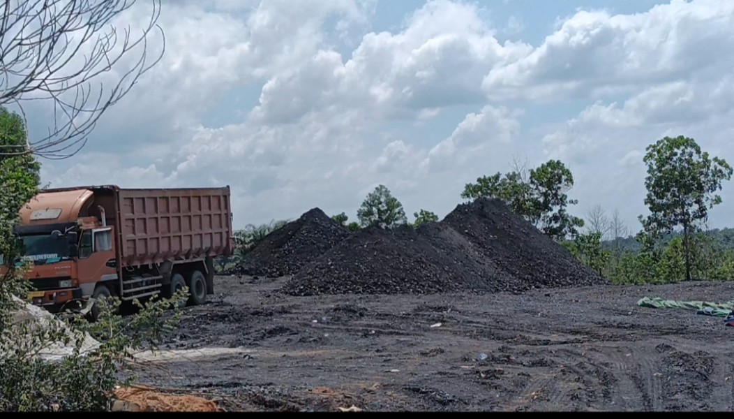 Kadis DLH Tegaskan Pengusaha Batu Bara KM 5 Belum Memiliki Ijin