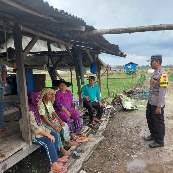 Kunjungan dan Sosialisasi kepada Petani kerap dilaksanakan Bhabinkamtibmas sebagai bentuk upaya Polri khususnya Polsubsektor Pelalawan dalam mendukung program pemerintah dalam Ketahanan Pangan