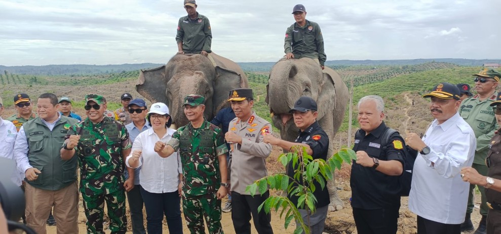 Satgas PKH Tegaskan Segala Bentuk Aktivitas Didalam Hutan Kawasan Dinyatakan Melanggar Hukum