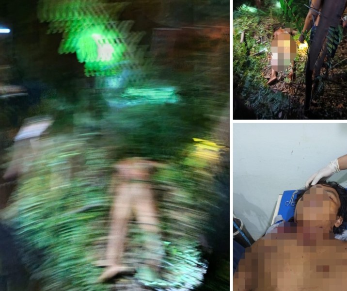Seorang Pekerja Operator Subkontraktor PT Arara Abadi Tewas Diterkam Harimau Sumatera