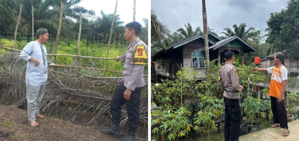 Bhabinkamtibmas meninjau lahan pekarangan milik masyarakat yang dimanfaatkan sebagai area budidaya tanaman baik itu sayuran - sayuran buah  buahan atau jenis tanaman lainnya