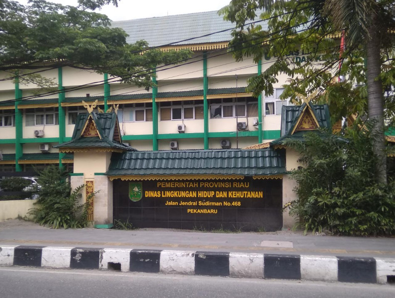 Diduga Ada Oknum Dlhk Yang Bermain Mata Dengan Penjahat Kehutanan