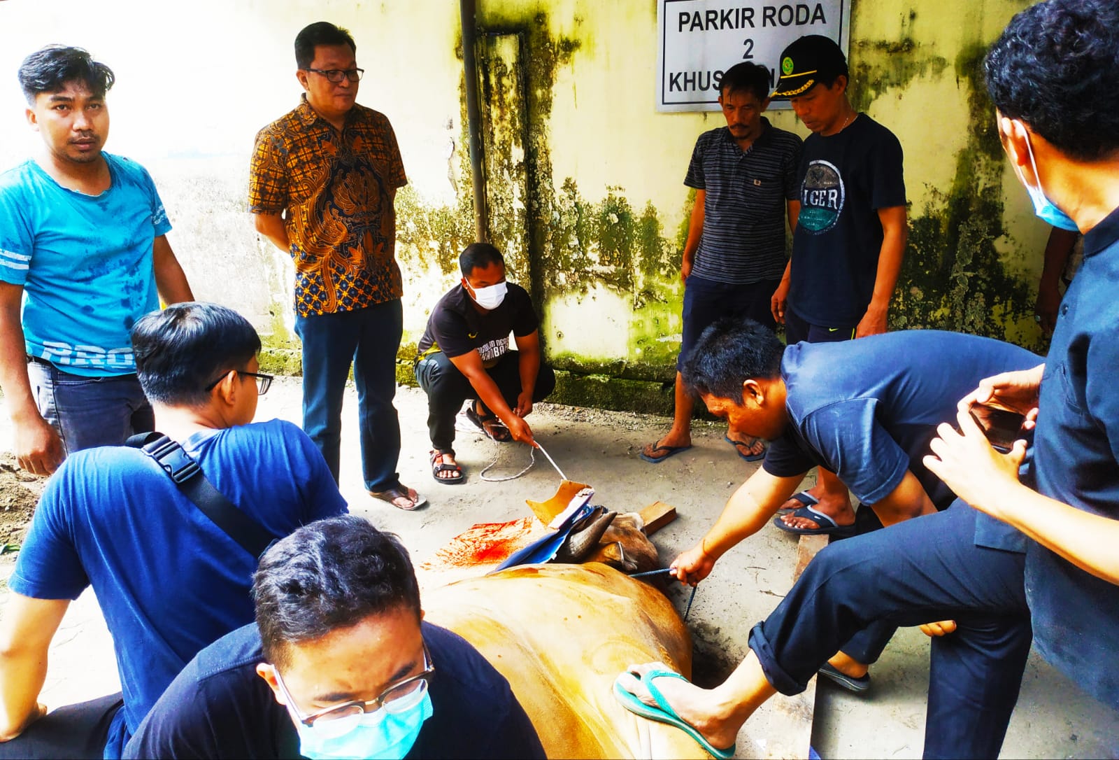 Ketua Pengadilan Negeri Kelas 1A Pekanbaru, Mengadakan Qurban Idul Adha 1443 H Sembelih 2 Ekor Sapi