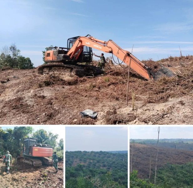 Oknum Pejabat Desa dan Perangkatnya akan Di Proses Hukum,kerana Telah Menyebabkan Perubahan Hutan Dalam Kawasan TNTN