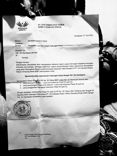 Manager Estate Kebun Perak PT.Inti Indosawit Subur lakukan PHK sepihak