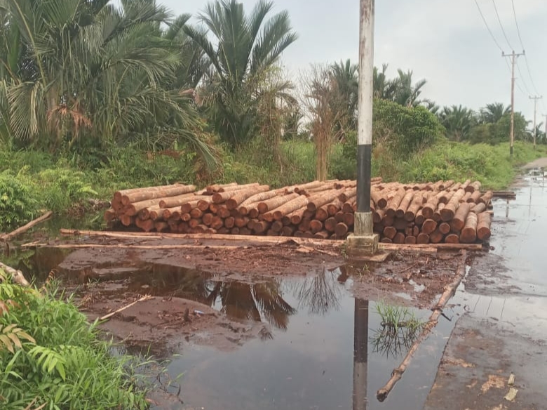 ormas panglima Bungsu laskar boedak melayu nusantara memintak aparat penegak hukum ambil langkah hukum