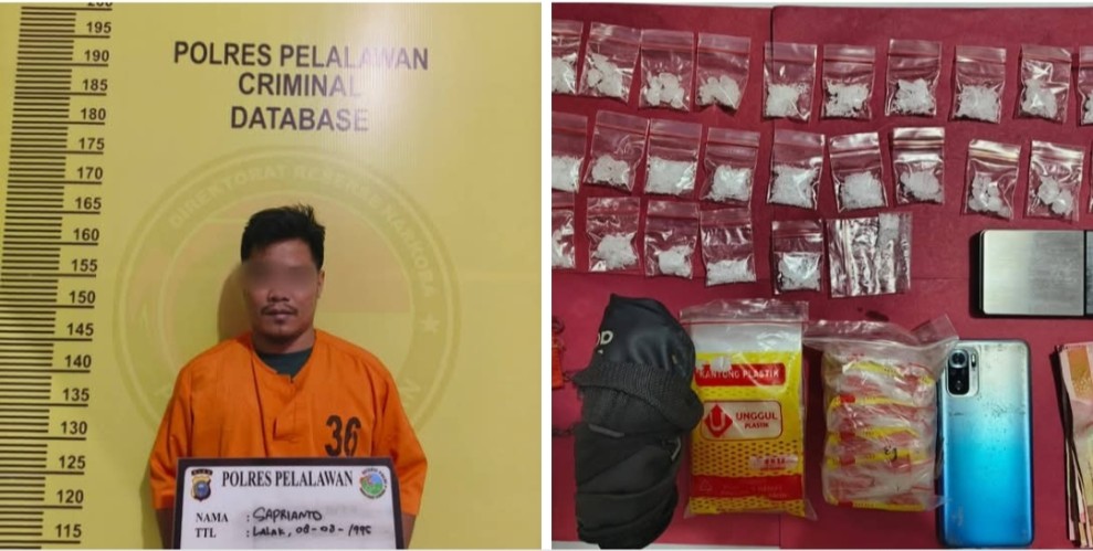 Tim Opsnal Satuan Reserse Narkoba Polres Pelalawan mengamankan seorang pria peredaran narkotika