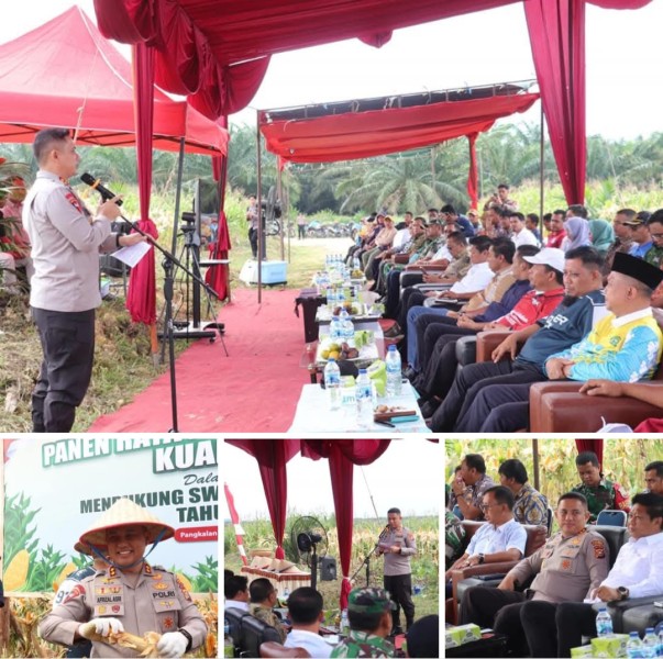 Dukung Swasembada Pangan 2025, Kapolres Pelalawan Ikut Panen Raya Jagung Serentak,