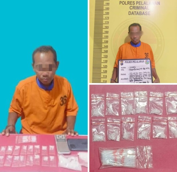 Sat Resnarkoba Polres Pelalawan Tangkap Pengedar Sabu di Ukui, Amankan 24 Paket Sabu 62,59 Gram