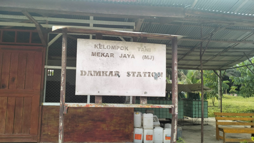 Diduga Kawasan Hutan Produksi Terbatas Di Ahli Fungsi Menjadi Perkebunan kelapa Sawit.