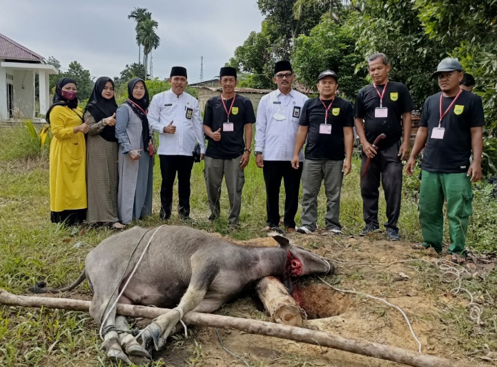 IMK Pelalawan Qurban 4 Ekor Kerbau di Mushallah Ukhuwah Al Kampari