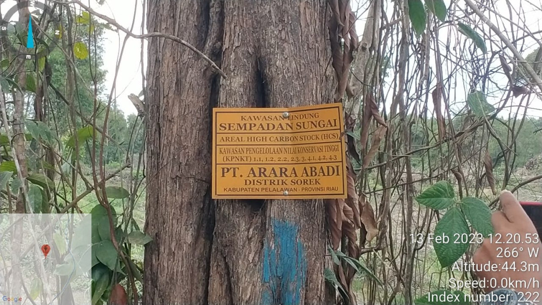 Ketua DPD GPL Indonesia Tuding PT. Arara Abadi Melakukan Pengerusakan Hutan Konservasi