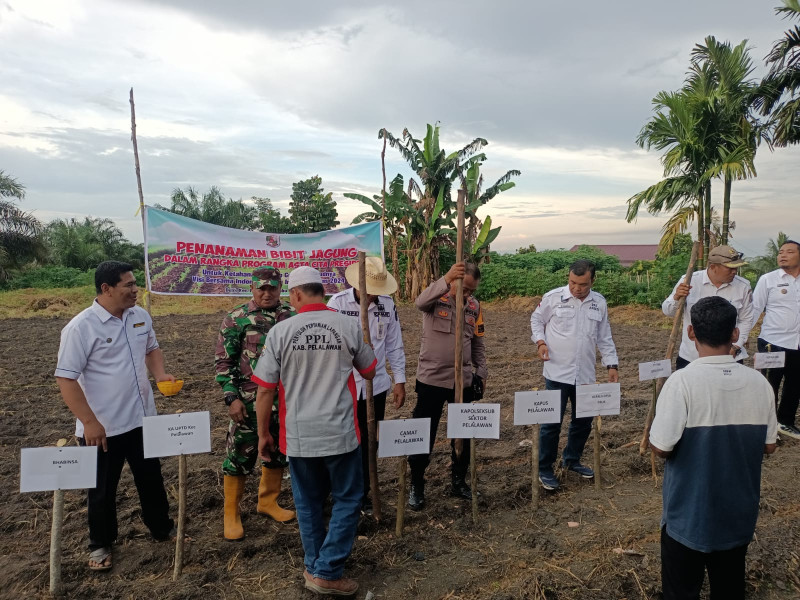 Polsubsektor Pelalawan Iptu Legito ikut terjun langsung kelokasi dalam rangka mendukung dan mewujudkan program asta cita presiden Prabowo Subianto di bidang ketahanan pangan