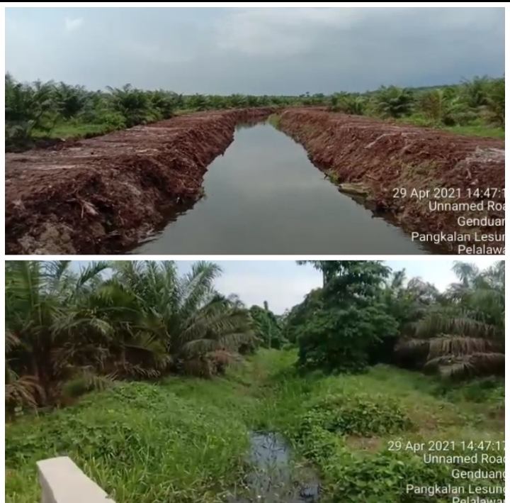 PT SLS Tanami DAS Sungai Tanglo di Genduang Pangkalan Lesung