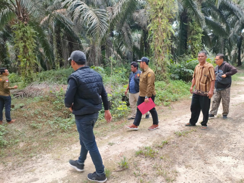Dinilai Surat SKGR Milik Saridi Benar, Tim Reskrim Polres Pelalawan Olah TKP Kebun Sawit
