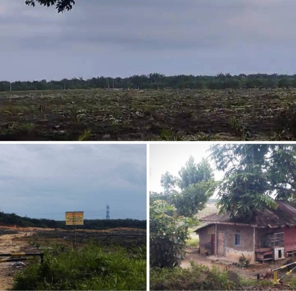 Lahan seluas kurang lebih 55 hektare yang diduga kuat merupakan aset milik Pemerintah Kabupaten Pelalawan, namun hingga kini tidak tercatat secara jelas dalam inventarisasi aset daerah