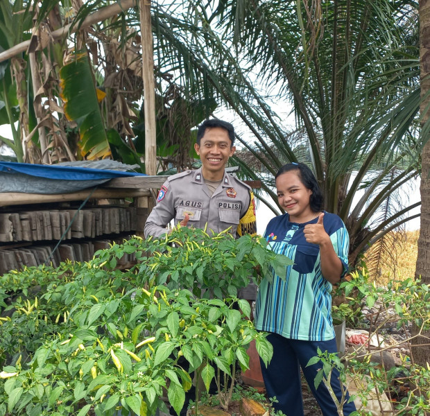 Bhabinkamtibmas Polsubsektor Pelalawan Aiptu Agustinus Hermanto, Optimalisasi lahan pekarangan dalam mendukung ketersediaan pangan maupun meningkatkan perekonomian masyarakat