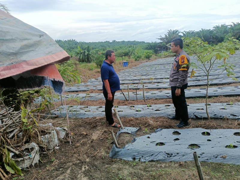 Bhabinkamtibmas Desa Delik Polsubsektor Pelalawan jajaran Aipda Heruzan Nurza, melaksanakan kegiatan peninjauan tempat dan lahan yang akan dimanfaatkan untuk program ketahanan pangan