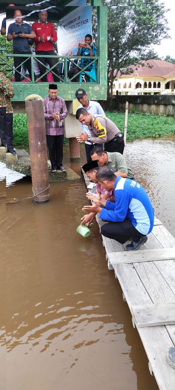 Dilarang Meracun dan Menyetrum Ikan serta Pelepasan bibit ikan di sungai kampar