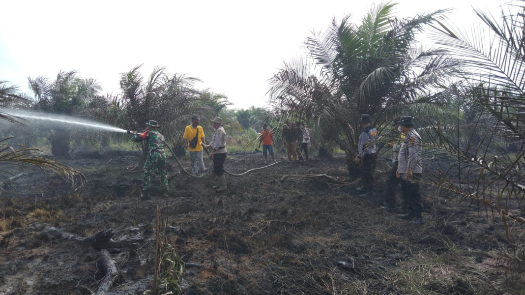 Diduga Lahan Sawit Milik PT. GUP di Desa Kemang Kecamatan Pangkalan Kuras Kabupaten Pelalawan Terbakar